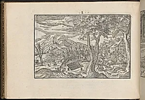 La Vera Perfettione del Disegno di varie sorti di recami, page 25 (verso) by Giovanni Ostaus|Giuseppe Salviati (Giuseppe Porta, called Il Salviati)