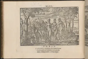 La Vera Perfettione del Disegno di varie sorti di recami, page 23 (verso)