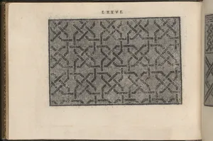 La Vera Perfettione del Disegno di varie sorti di recami, page 38 (verso)