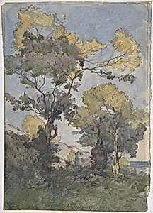 Landscape