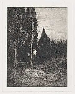 Landscape