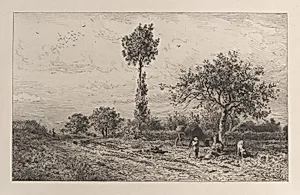 Landscape