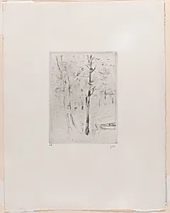 Landscape (Tree-trunks near a River)