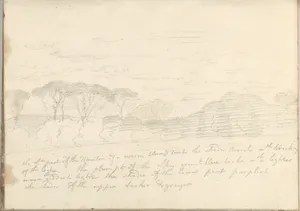 Landscape with Umbrella Pines and Distant Mountain (Smaller Italian Sketchbook, leaf 41 recto)