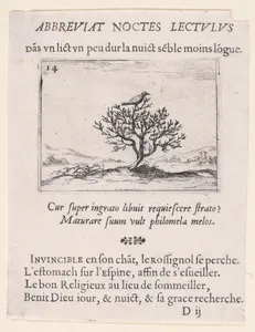 Le Rossignol Posé sur un Buisson (A Nightengale Standing on a Bush), from Lux Claustri ou La Lumière du Cloitre (The Light of the Cloisters), plate 14