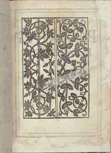 Libro quarto. De rechami per elquale se impara in diuersi modi lordine e il modo de recamare...Opera noua, page 18 (recto)