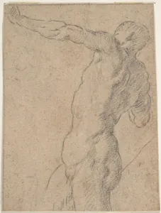 Life Study of Standing Male Nude in Three-Quarter Length