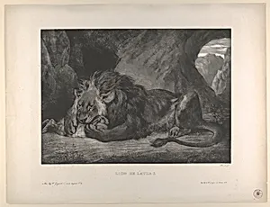 Lion of the Atlas Mountains by Eugène Delacroix