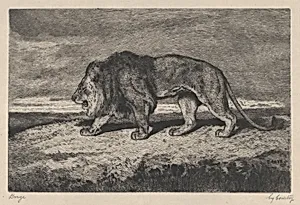 Lion walking