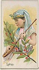 Lotus, from the Fruits series (N12) for Allen & Ginter Cigarettes Brands by Allen & Ginter|George S. Harris & Sons