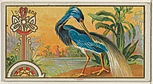 Louisiana Heron, from the Game Birds series (N13) for Allen & Ginter Cigarettes Brands by Allen & Ginter|George S. Harris & Sons