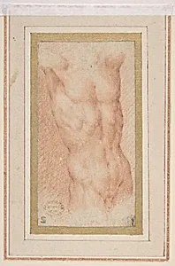 Male Nude Torso with Raised Arms