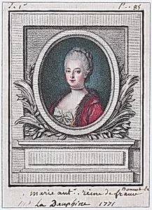 Marie Antoinette, Dauphine