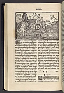 Methamorphoseos vulgare