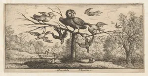Monedula, Chouëtte (The Owl), from "Livre d'Oyseaux" (Book of Birds)