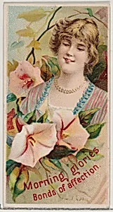 Morning Glories: Bonds of Affection, from the series Floral Beauties and Language of Flowers (N75) for Duke brand cigarettes by Donaldson Brothers|American Tobacco Company