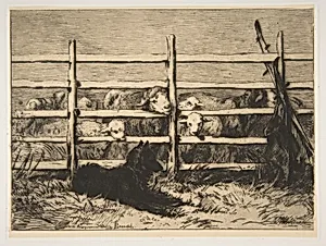 Moutons parqués by Félix Bracquemond|Albert Brendel