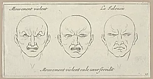 Mouvement Violent, Mouvement violent ou le coeur seroidit, La Jalousie (from Caractères des passions, gravés sur les desseins de l'illustre Monsieur le Brun) by Sébastien Le Clerc, le Jeune|Charles Le Brun