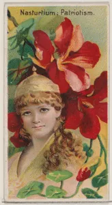 Nasturtium: Patriotism, from the series Floral Beauties and Language of Flowers (N75) for Duke brand cigarettes