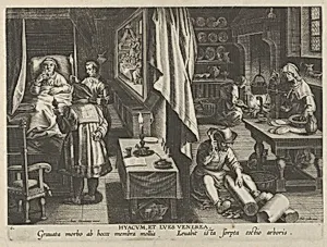 New Inventions of Modern Times [Nova Reperta], The Discovery of Guaicum as a Cure for Veneral Infection, plate 6 by Jan van der Straet, called Stradanus|Jan Collaert I|Philips Galle