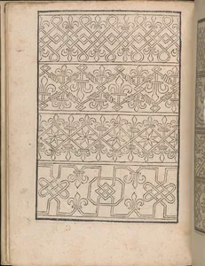 New Modelbüch allen Nägerin u. Sydenstickern (Page 11v)