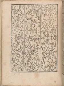 New Modelbüch allen Nägerin u. Sydenstickern (Page 14v)