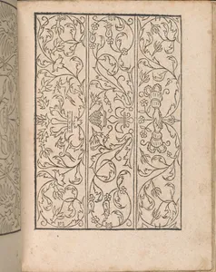 New Modelbüch allen Nägerin u. Sydenstickern (Page 16r)