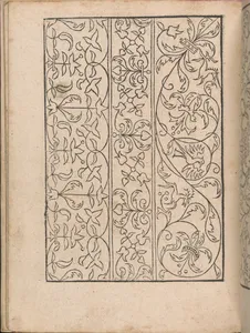 New Modelbüch allen Nägerin u. Sydenstickern (Page 16v)