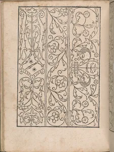 New Modelbüch allen Nägerin u. Sydenstickern (Page 18v)