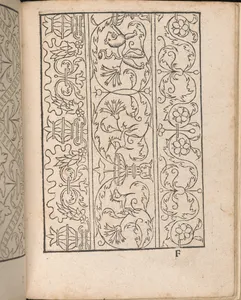 New Modelbüch allen Nägerin u. Sydenstickern (Page 21r)