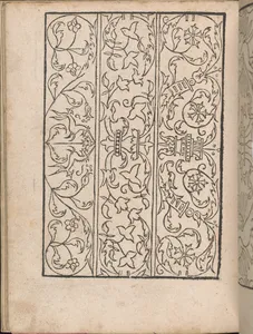 New Modelbüch allen Nägerin u. Sydenstickern (Page 21v)
