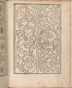 New Modelbüch allen Nägerin u. Sydenstickern (Page 24r)