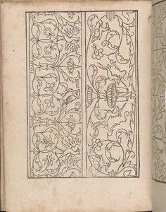 New Modelbüch allen Nägerin u. Sydenstickern (Page 24v)