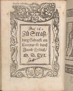 New Modelbüch allen Nägerin u. Sydenstickern (Page 27v)