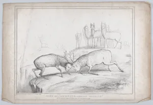 "None But the Brave Deserve the Fair" – Mr. E. Landseer's admired Picture seen in a new point of view