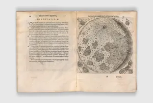 Portrait of Francisco Fontana|Gaffarum