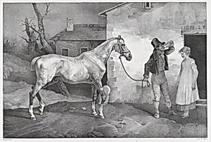 Old Horse at an Inn Door