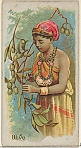 Olive, from the Fruits series (N12) for Allen & Ginter Cigarettes Brands by Allen & Ginter|George S. Harris & Sons