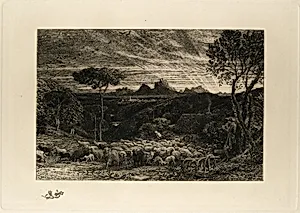 Opening the Fold, or Early Morning