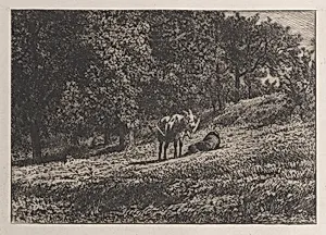 Orchard