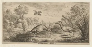 Ortygometra, Ralle (The Rail), from "Livre d'Oyseaux" (Book of Birds)