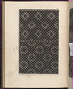 Page from Ein new kunstlich Modelbuch...(Page 29v)