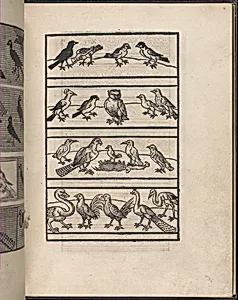 Page from Ein new kunstlich Modelbuch...(Page 8r)