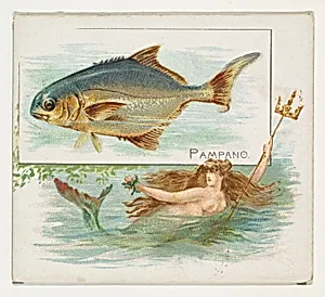 Pampano, from Fish from American Waters series (N39) for Allen & Ginter Cigarettes by Allen & Ginter|Lindner, Eddy & Claus