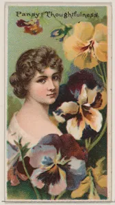 Pansy: Thoughtfulness, from the series Floral Beauties and Language of Flowers (N75) for Duke brand cigarettes