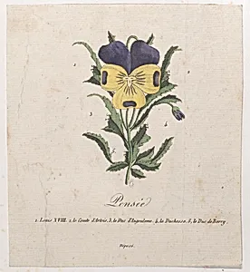 Pansy with hidden silhouettes by Marie-Caroline de Bourbon-Sicile, duchesse de Berry|Anonymous|Charles Philippe, comte d'Artois|Charles Ferdinand Duke of Berry|Louis XVIII, King of France|Louis Antoine de Bourbon, Duc d'Angoulême