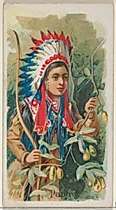Papaw, from the Fruits series (N12) for Allen & Ginter Cigarettes Brands by Allen & Ginter|George S. Harris & Sons