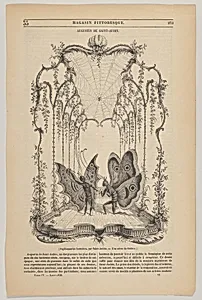Papillonneries humains, Illustration from the Magasin Pittoresque by Augustin de Saint-Aubin