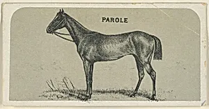 Parole, from the Race Horses series (N168) for Canvas Backs Cigarettes by Goodwin & Company