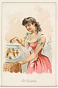 Pet Goldfish, from the Household Pets series (N194) issued by Wm. S. Kimball & Co. by American Tobacco Company|William S. Kimball & Company|Julius Bien & Co.